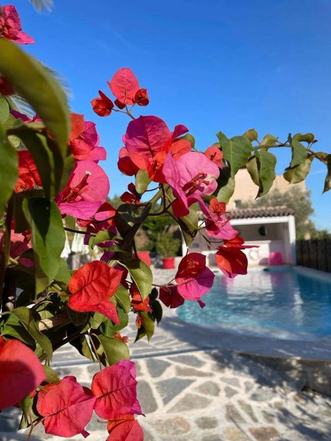 Maxima Sunset Apartment Sainte-Maxime Bagian luar foto