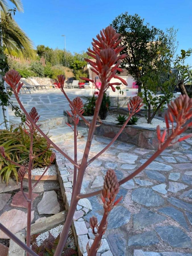 Maxima Sunset Apartment Sainte-Maxime Bagian luar foto
