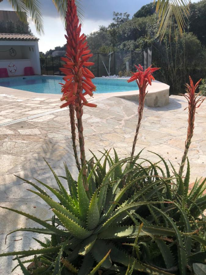 Maxima Sunset Apartment Sainte-Maxime Bagian luar foto